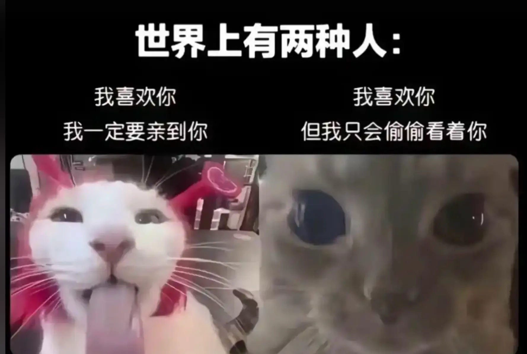 我住長江頭,君住長江尾。