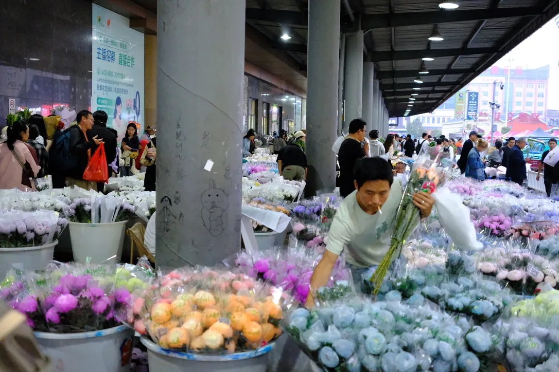 昆明二则,滇池与花市